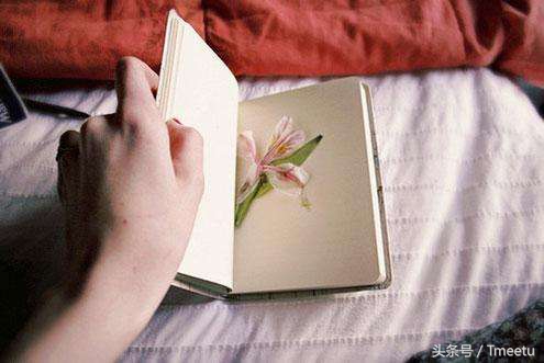 女孩子应该掌握的小技能-整顿自知乎