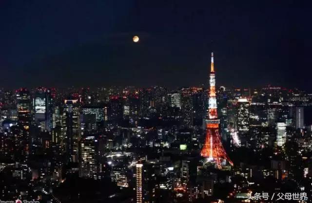 一个从来没用过童车的爸爸抱着孩子去日本水族馆吓人了！