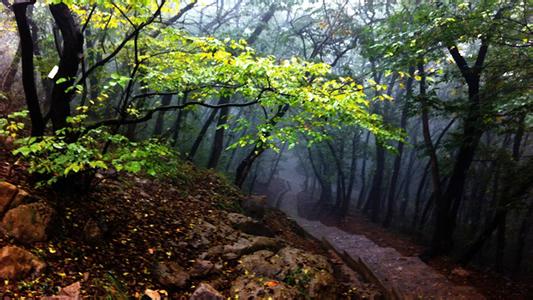 无锡出发安徽旅游攻略自驾游,安徽旅游攻略最全最好的线路