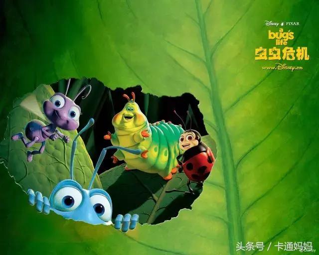 昆虫的微观小世界,微观世界每只昆虫都有它的故事