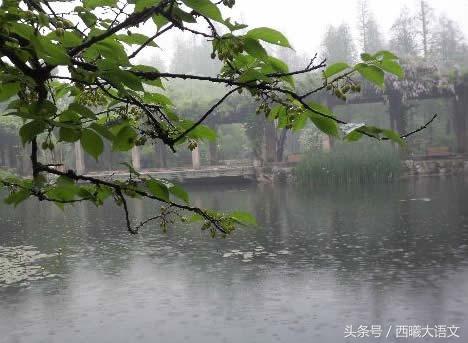 提到春雨的诗句有哪些,下春雨时你会想到哪些诗句