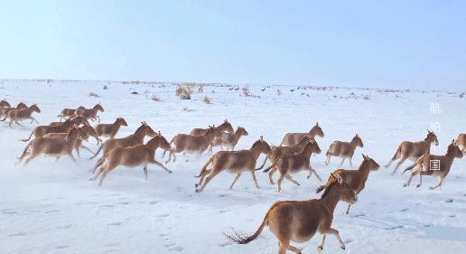 俯瞰广州最美的视角,上帝的视角看地球简直美爆了