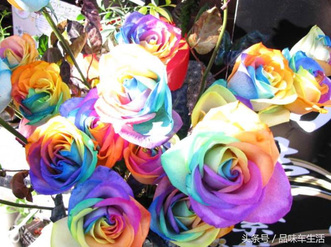 未来赚钱适合女生做的创业项目,女生低成本创业项目大全