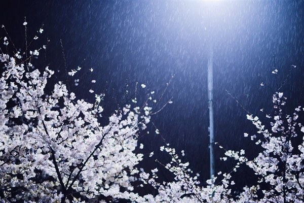 舌尖上的春天你推荐哪一道,舌尖上的春天你不能错过的美食