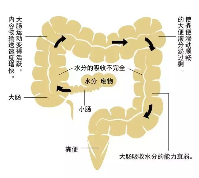 腹泻喝牛奶加重腹泻,普通腹泻与肠癌腹泻