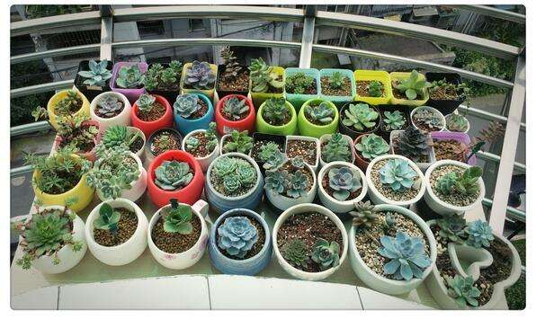 300元出租屋改造大变样,出租房千元家居改造