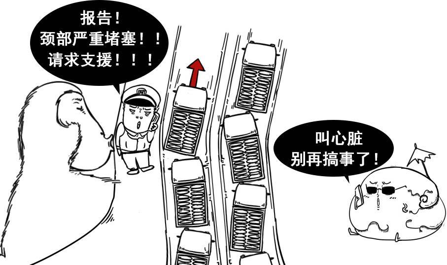 种草莓的几个基本步骤,怎么种草莓才最安全