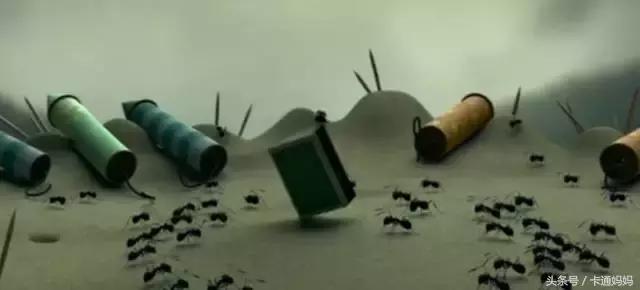 昆虫的微观小世界,微观世界每只昆虫都有它的故事