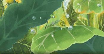 昆虫的微观小世界,微观世界每只昆虫都有它的故事