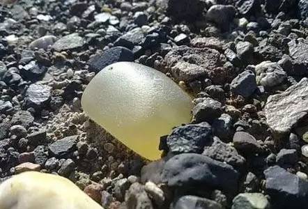 宝石光的三生三世你都知道了吗？