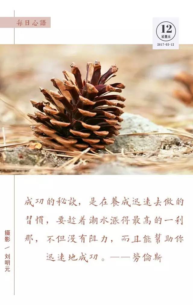 植树节为大自然增添一份绿,3月12日植树节简单小知识