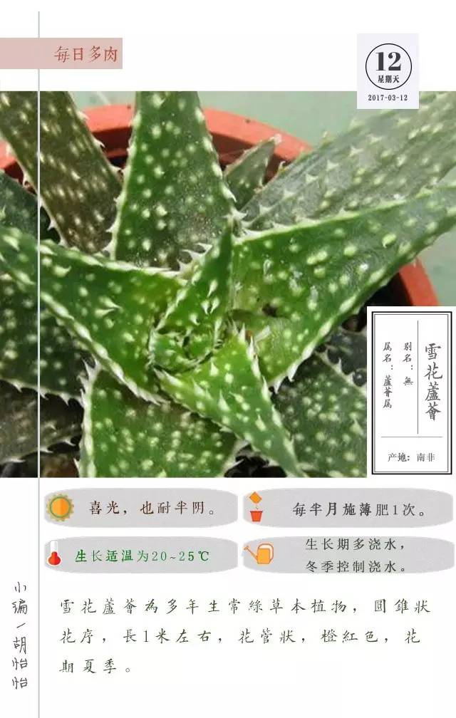 植树节为大自然增添一份绿,3月12日植树节简单小知识