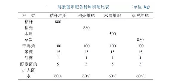 揭开酵素的神秘面纱,橙子酵素是什么