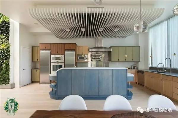 植物墙居家,特点植物墙