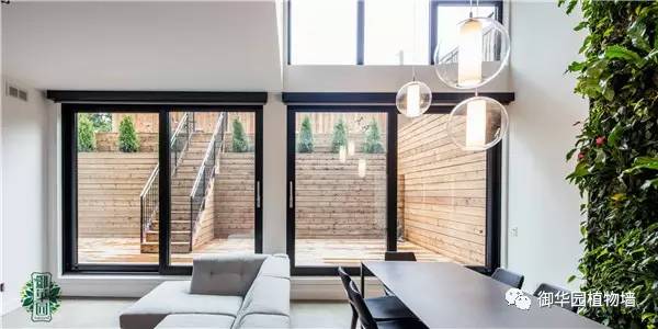 植物墙居家,特点植物墙