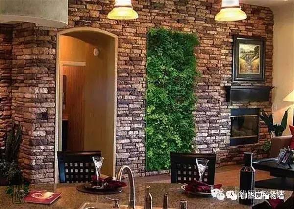 植物墙居家,特点植物墙
