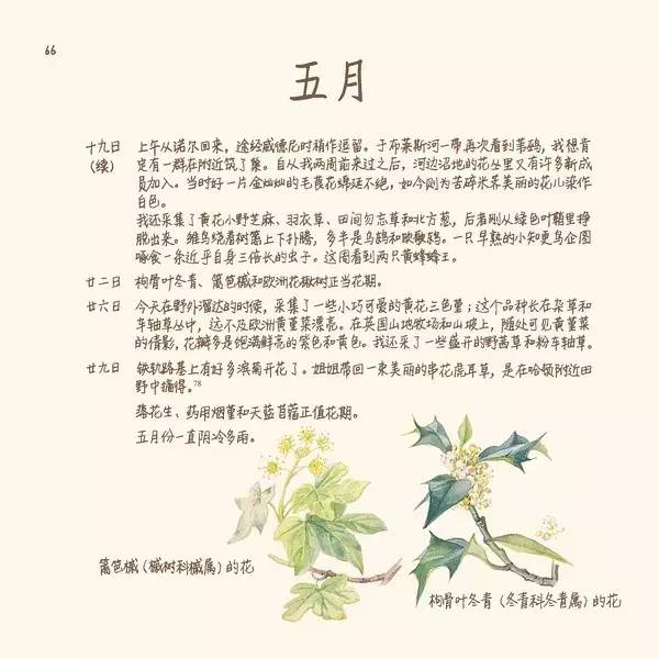 英伦乡野手记,英伦乡野手记读后感