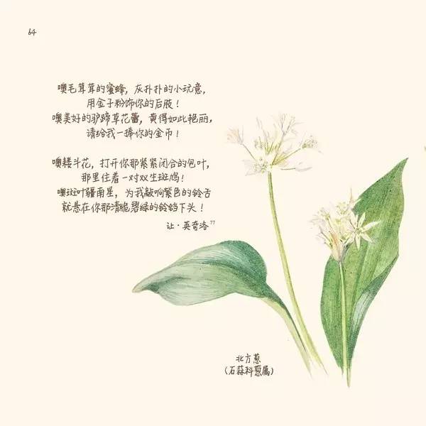 英伦乡野手记,英伦乡野手记读后感