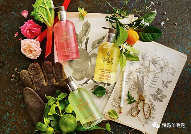 英国皇室*用御**品牌大揭秘！