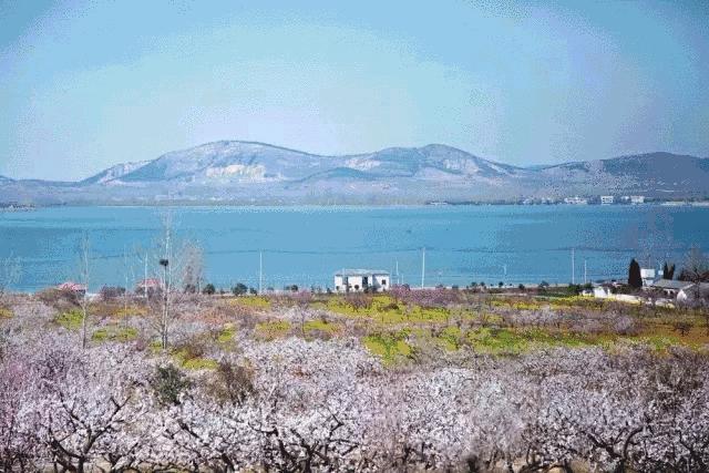 徐州这个村彻底火了，央视一天两次直播！大徐州你咋这么牛