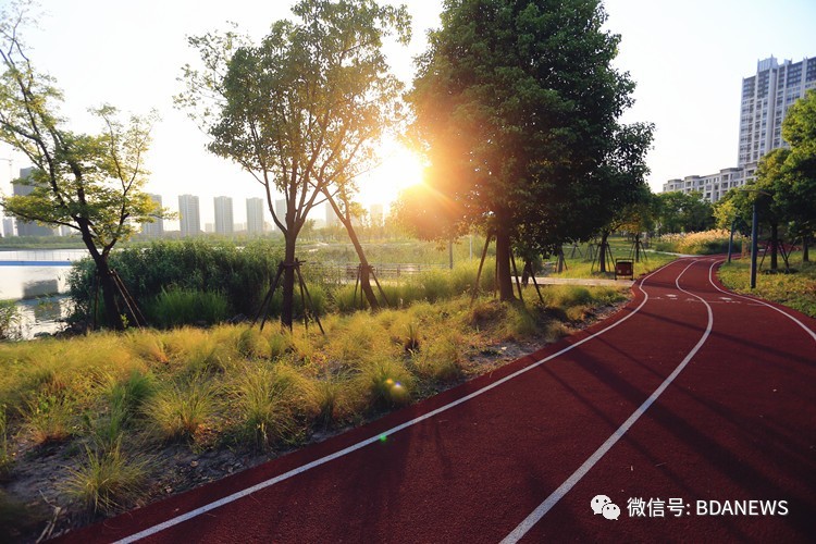 「亦社情」训练“小国脚”，开发区首个儿童足球场建设完成将开放