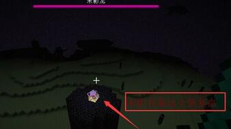 我的世界打末影龙要注意些什么,我的世界打末影龙需要准备什么