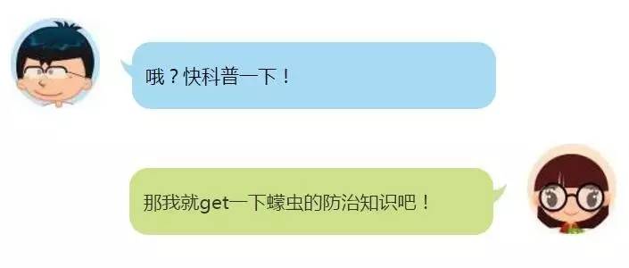 蠓虫不吸血怎么活,蠓虫最怕什么怎么防