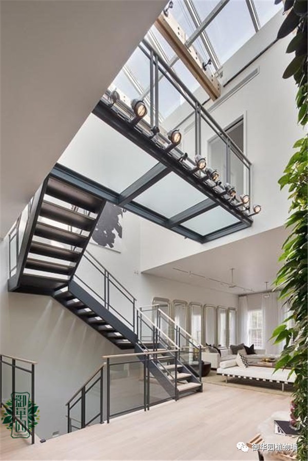 植物墙居家,特点植物墙