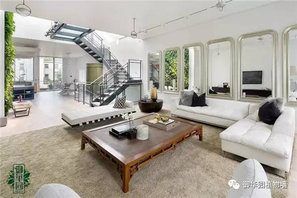 植物墙居家,特点植物墙