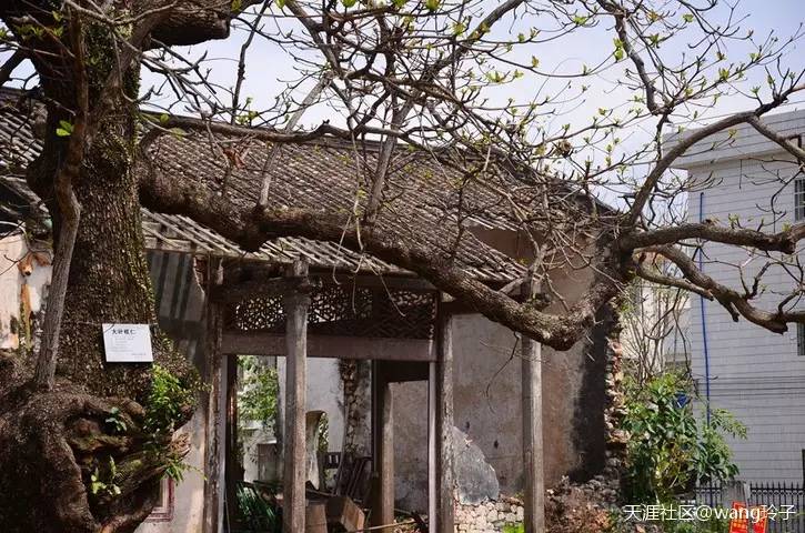 文昌溪北书院近况,文昌铺前溪北书院