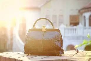 英国女王背双肩包,英国女王专宠乔治王子