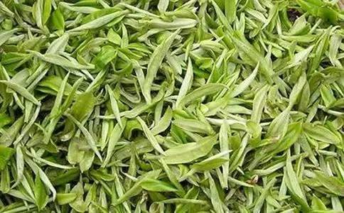 茶友茶叶品鉴,雁荡毛峰茶文化节