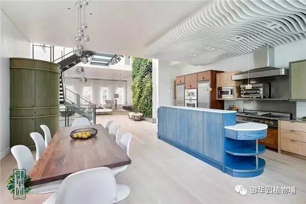 植物墙居家,特点植物墙