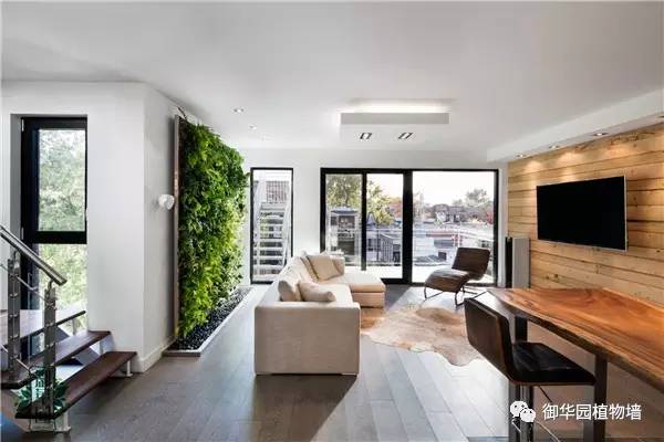 植物墙居家,特点植物墙