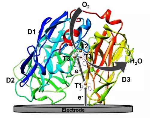 电催化氧化技术的研究进展,电催化氧化研究成果