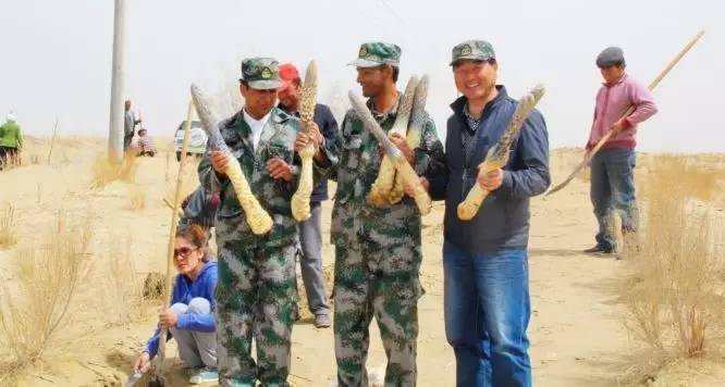 且末县2023年重点项目招标,且末县30万亩土地开发项目