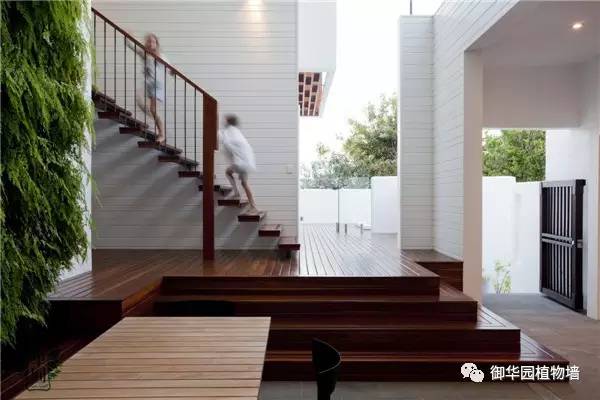 植物墙居家,特点植物墙