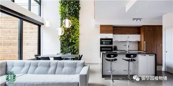 植物墙居家,特点植物墙