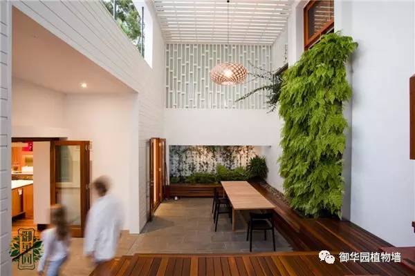 植物墙居家,特点植物墙