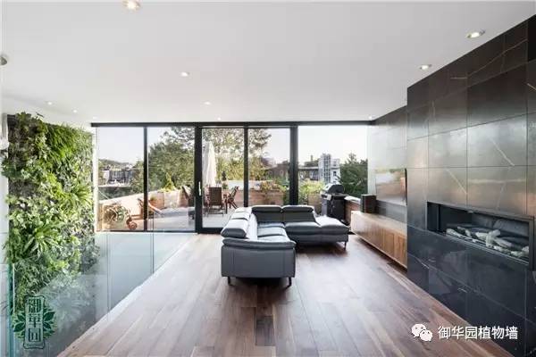 植物墙居家,特点植物墙