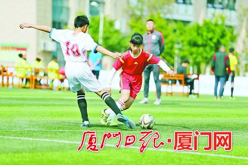 厦漳泉乒乓球邀请赛圆满落幕,2023厦漳龙联赛