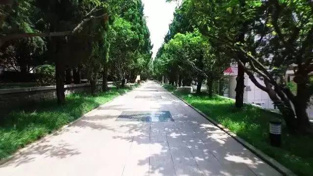 这不是一般的疗养院，在这里水兵可“满血复活”重返战场