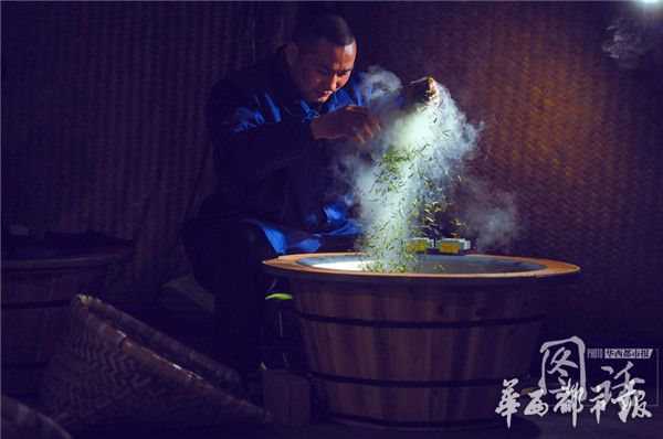 4万颗芽头制一斤春茶他坚守了30年