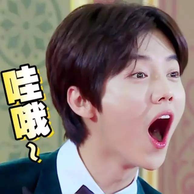 抖森表情包上线~老干部鹿晗，不呆萌张艺兴，脸部失控的胡歌，花痴赵丽颖……差点认不出管理不住自己表情的爱豆们！