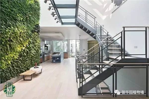 植物墙居家,特点植物墙