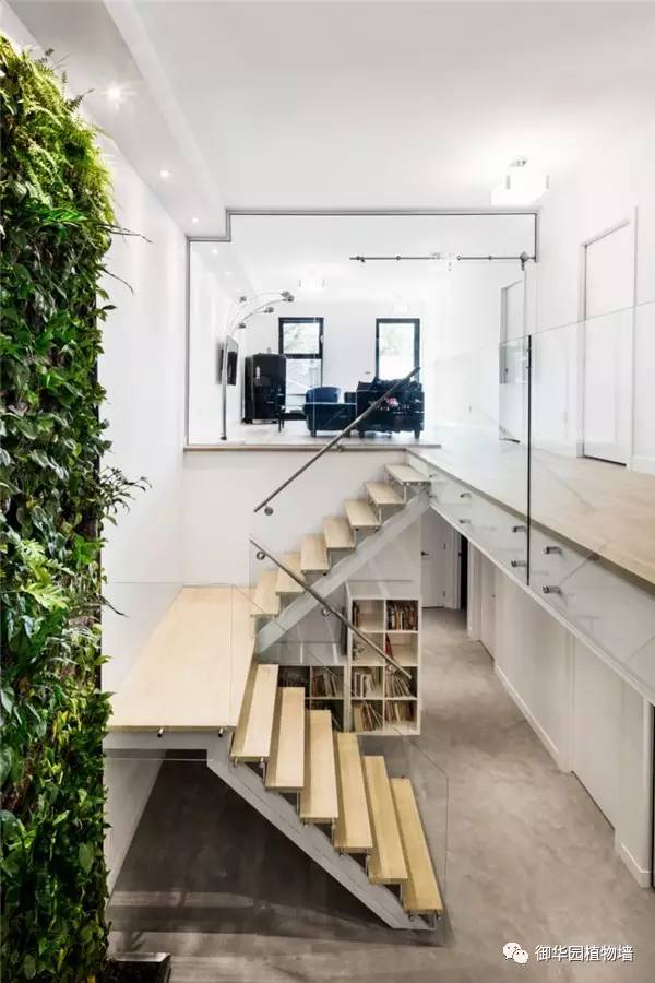 植物墙居家,特点植物墙