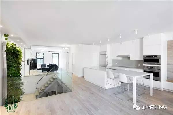 植物墙居家,特点植物墙