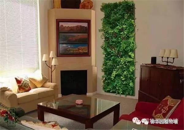 植物墙居家,特点植物墙