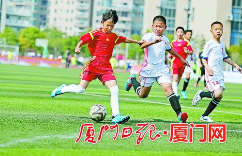 厦漳泉乒乓球邀请赛圆满落幕,2023厦漳龙联赛