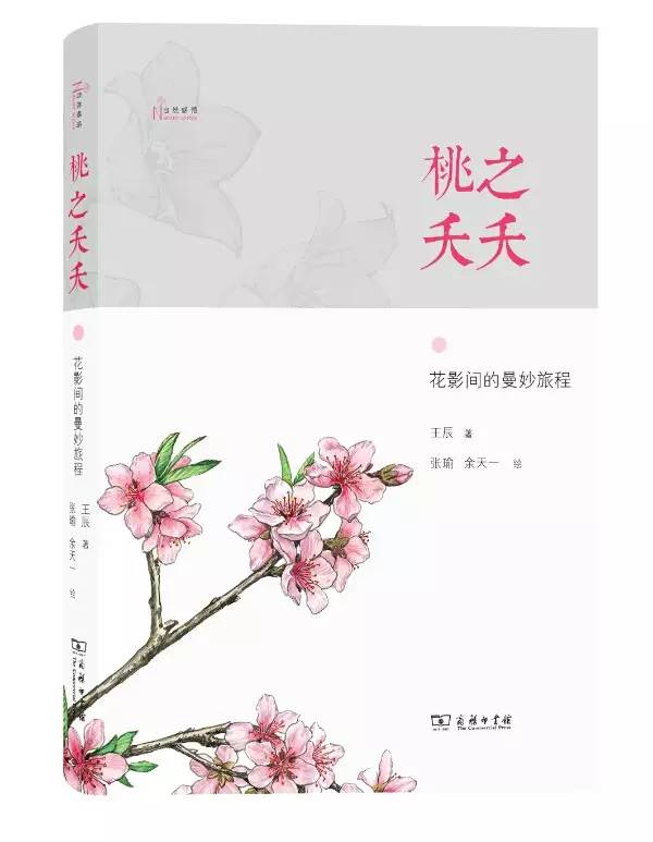 100本好书（爱一本书像爱一个人）